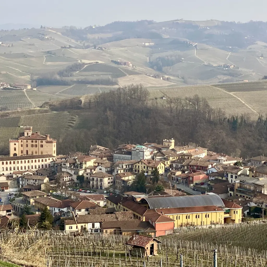 panorama da Monforte d'alba