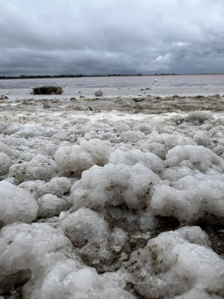 schiuma salina aigues mortes francia