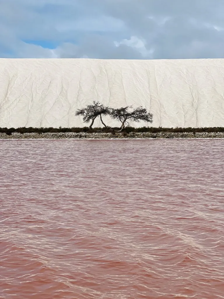 l'acqua rosa della salina di Aigues Mortes