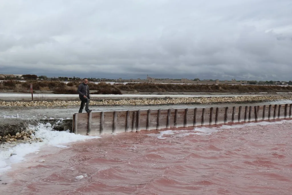 salina di Aìgues Mortes in Camargue