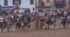palio asini a cocconato d'asti nel 2023