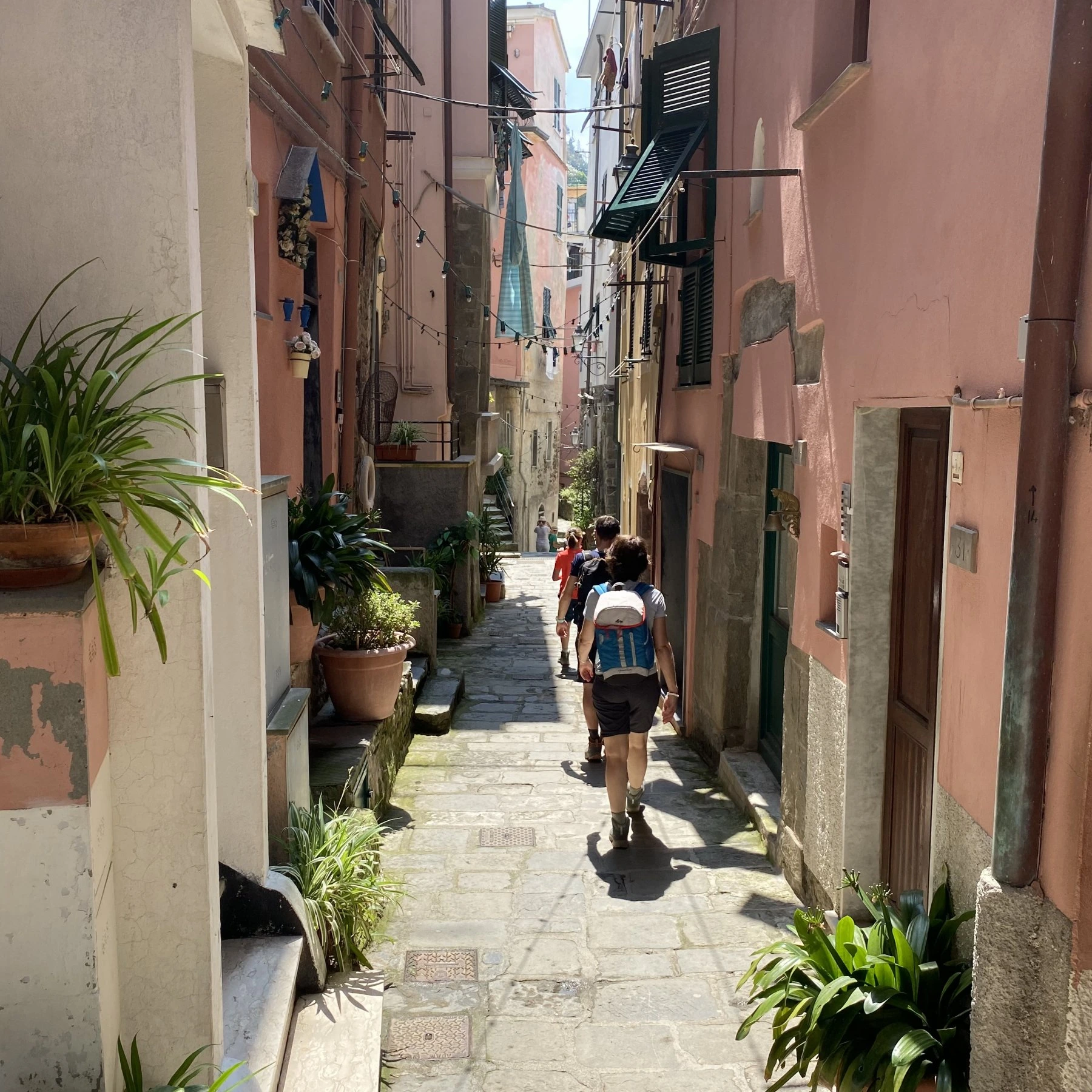 Tryatrip Vernazza vicoli