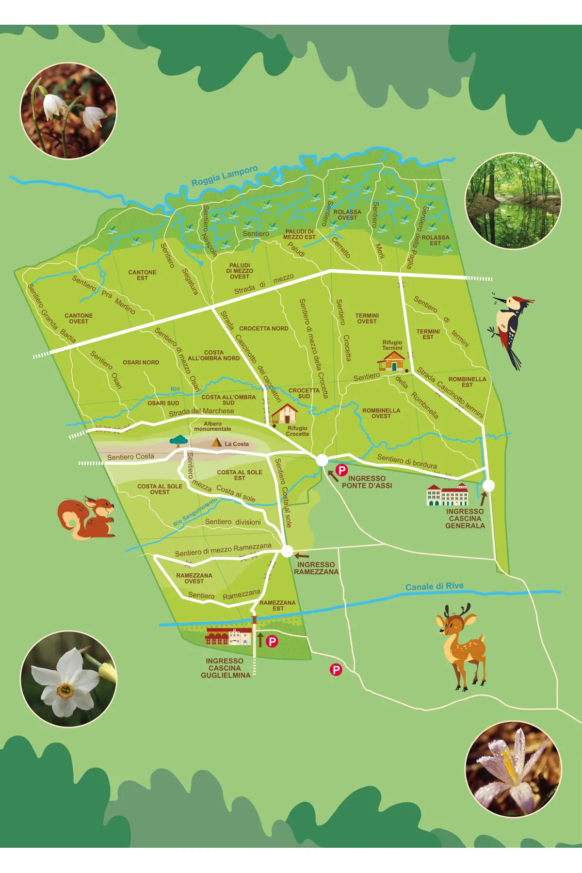 Bosco Sorti Partecipanza Trino Vercellese -mappa_bosco
