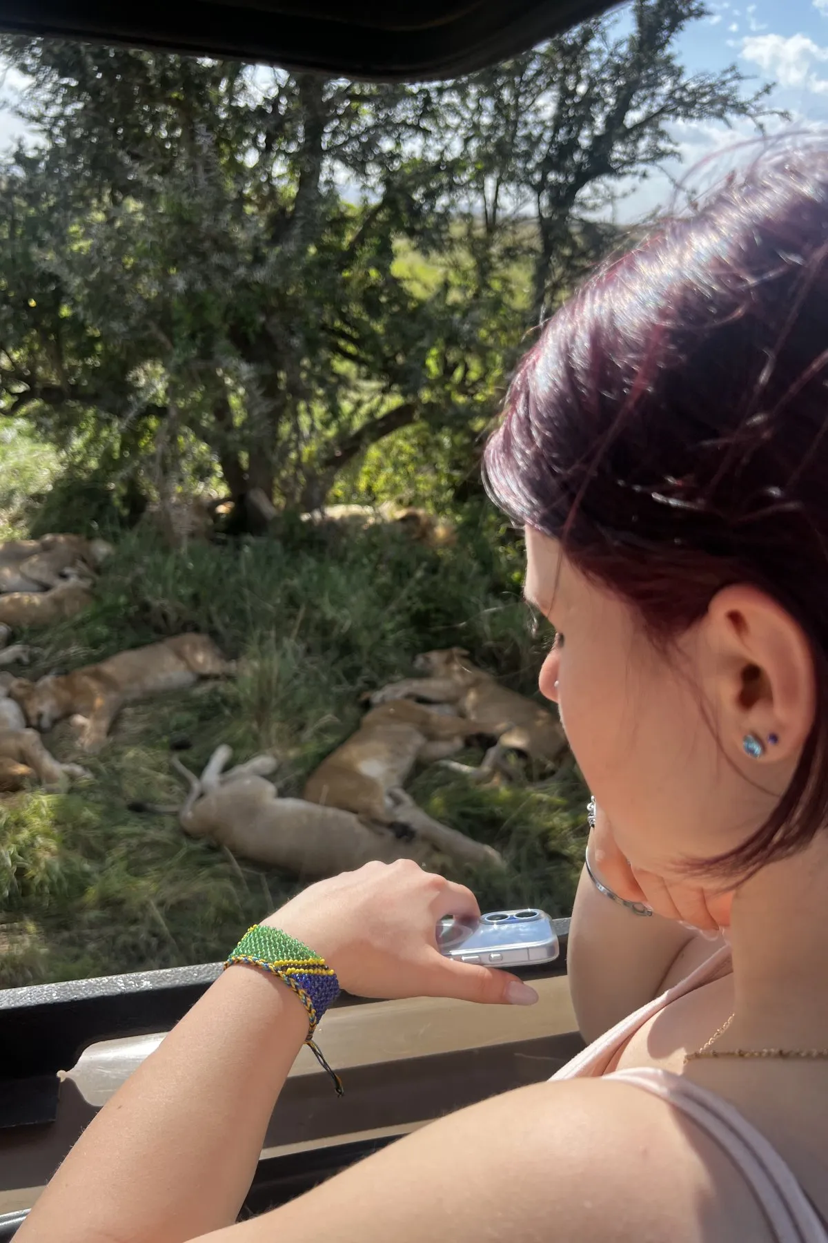 Tryatrip Giulia osserva i leoni