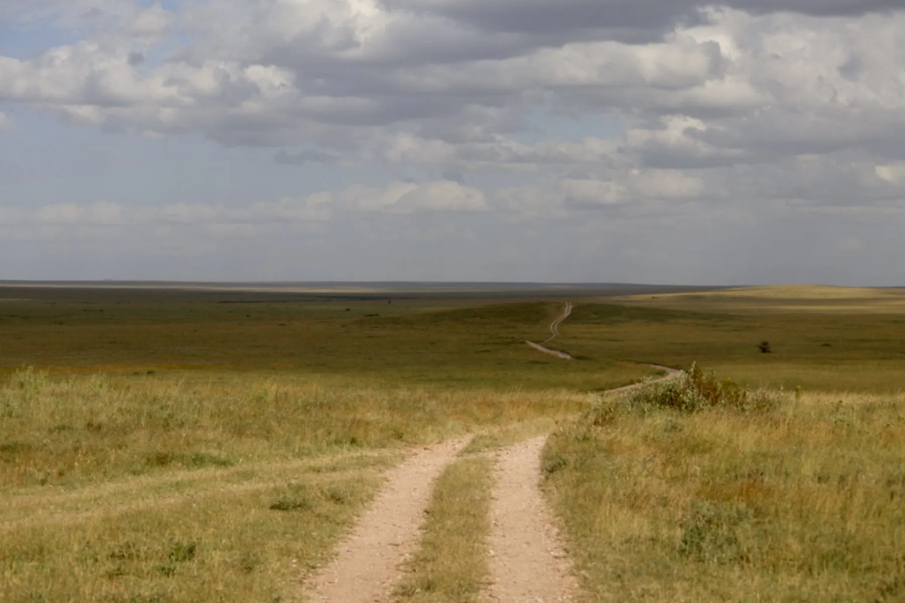 Tryatrip Serengeti the endless land