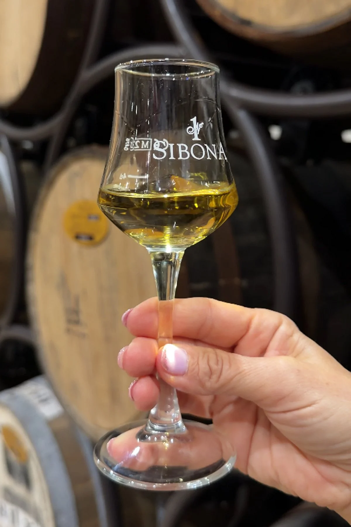Tryatrip-degustazione-grappa-sibona-bicchiere-tulipano