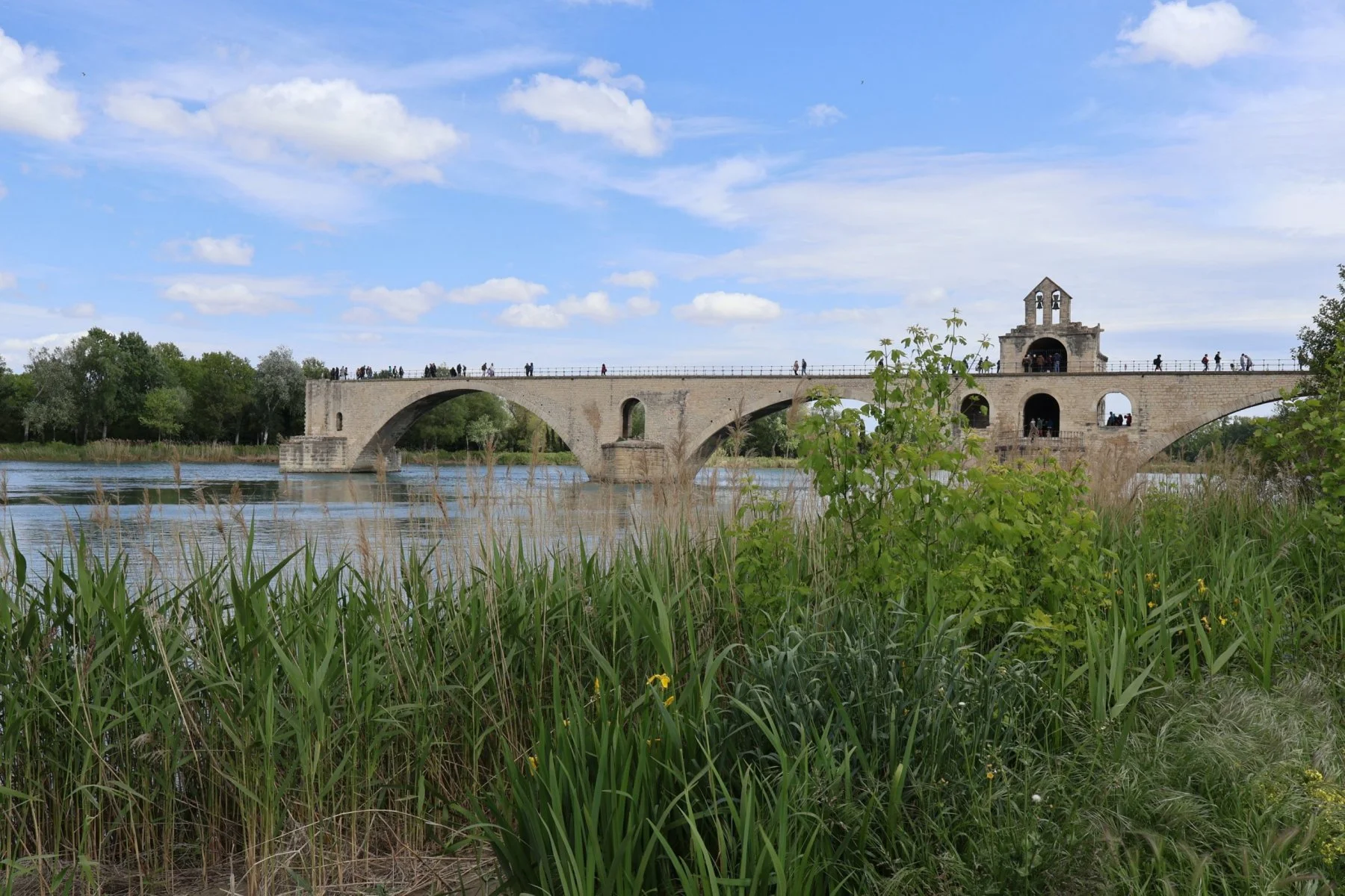 Tryatrip-il-ponte-dimezzato-di-Avignone