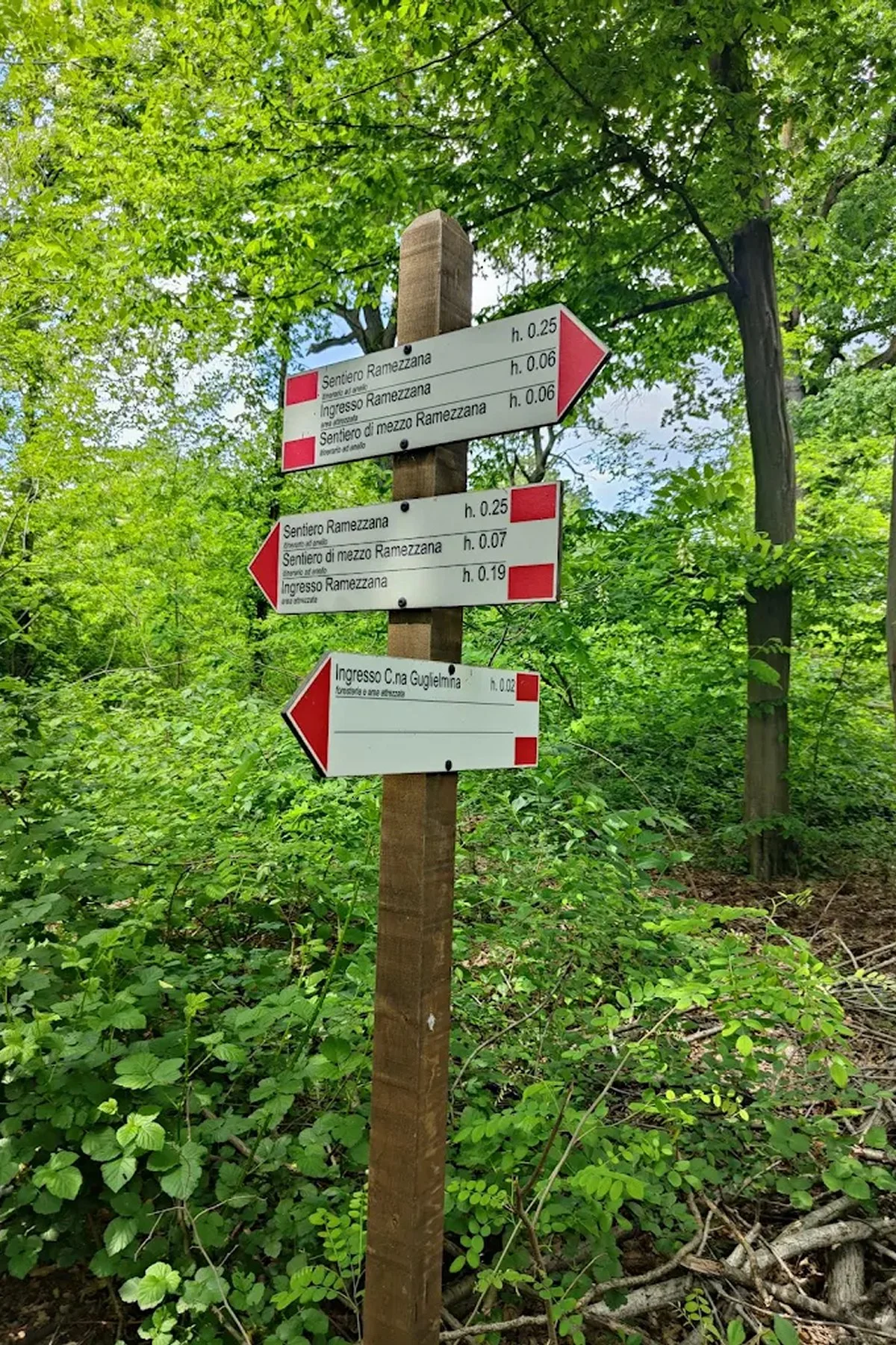 Tryatrip-sentieri-piemonte-bosco-trino
