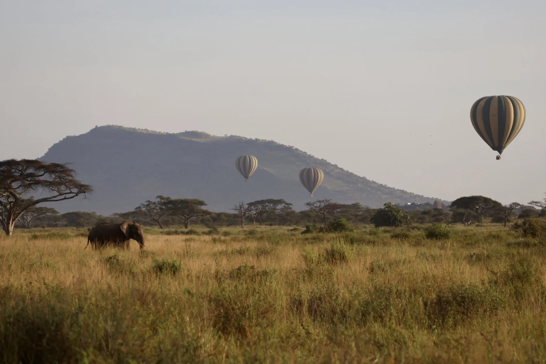 Tryatrip serengeti nation park